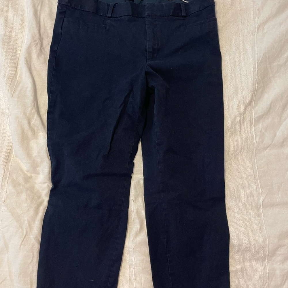 Banana Republic Deep Blue Trousers